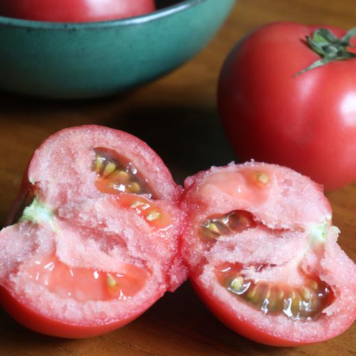 生态西红柿（试吃装） | 合作生产*Eco-tomato | Coprodution 商品图1