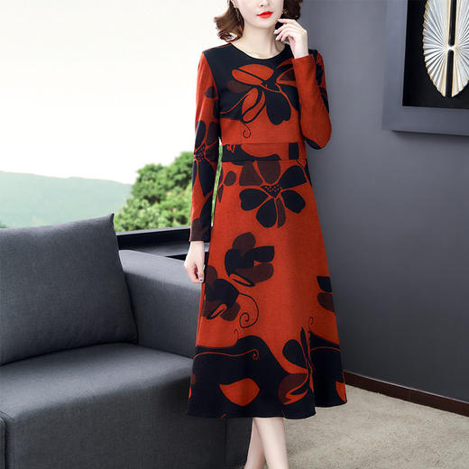 ZY-YD582秋季新款圆领长袖连衣裙 商品图0