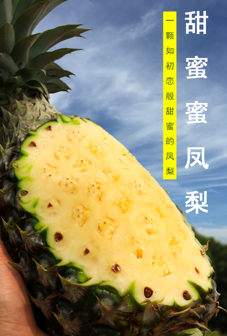 【甜蜜】京东包邮 海南甜蜜蜜凤梨 皮薄肉厚 甜蜜多汁 入口化渣 好吃