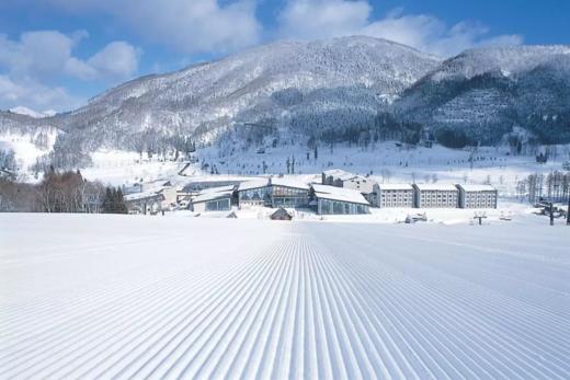 【24/25雪季圣诞】12月24日-12月29日，6天5晚畅滑志贺雪场，与SPADERS黑桃相约志贺高原！！ 商品图3