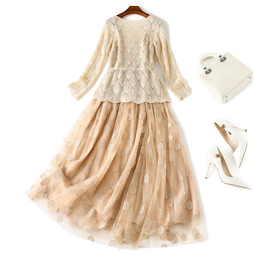 WO-L552秋季网纱波点刺绣连衣裙 商品图1