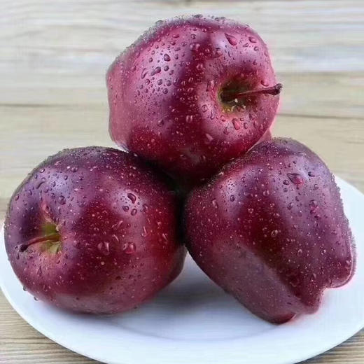 甘肃正宗礼县花牛苹果 4-5斤±2两 商品图7