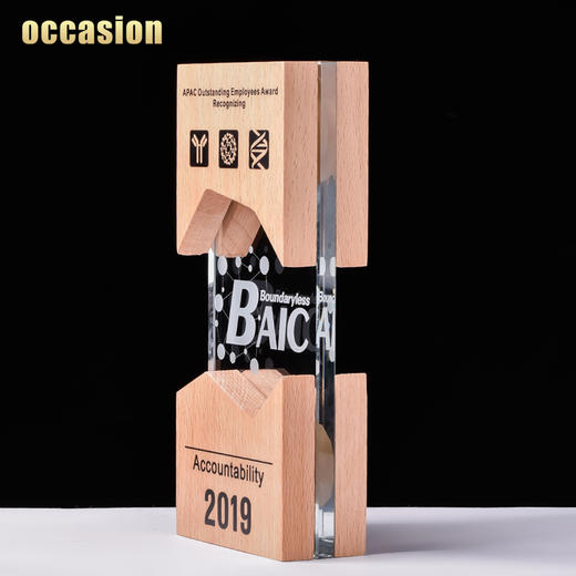 水晶奖杯定制创意奖牌定做授权牌木质荣誉牌匾免费刻字纪念品制作 商品图3