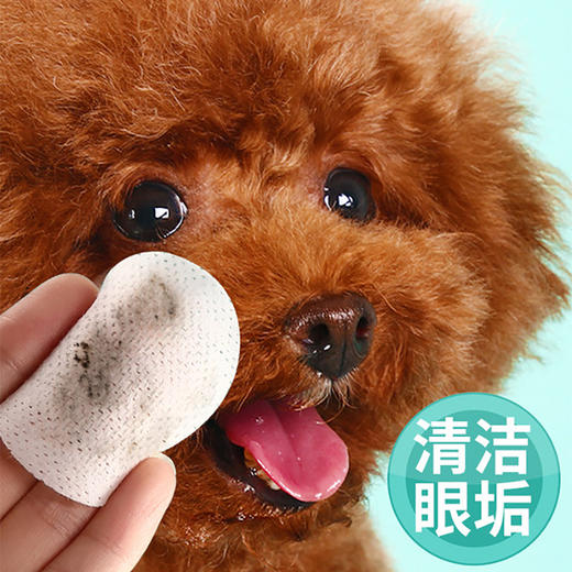 道力其 宠物眼部湿巾 130片装狗狗去泪痕猫咪眼睛清洁区眼垢湿巾 商品图2