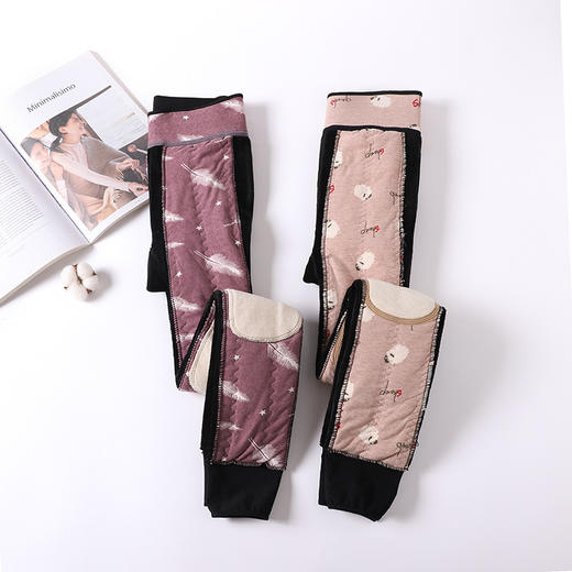 DF-107冬季蚕丝护膝保暖裤女士护腰打底裤 商品图0