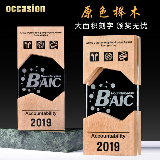 水晶奖杯定制创意奖牌定做授权牌木质荣誉牌匾免费刻字纪念品制作 商品图0