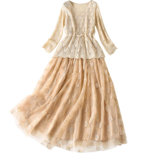 WO-L552秋季网纱波点刺绣连衣裙 商品图4