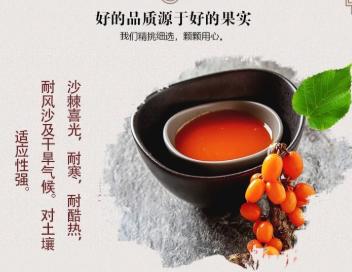 【棘中精品】沙棘冻干粉纯果粉 商品图1