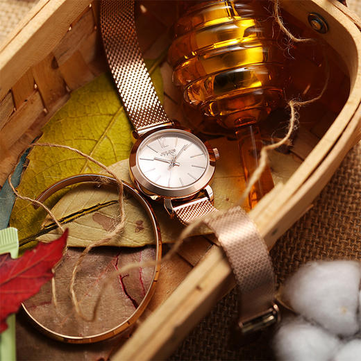 聚利时(Julius)手表女韩版学生时尚系列女式金属网带石英防水女士手表女生玫瑰金JA-732C 商品图6