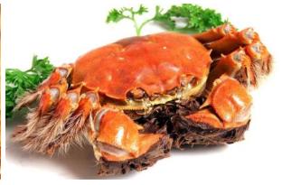 营养餐 商品图0