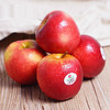 90#新西兰红玫瑰苹果  一盒20-22个装  脆甜多汁  商品缩略图0