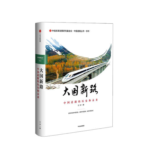 大国新路： 中国道路的历史和未来 商品图0