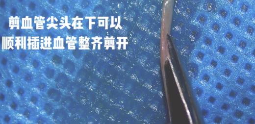 Enjoy系列显微剪刀 商品图5