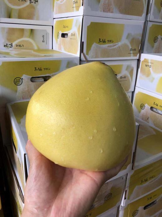 周二取货：【匠心级玉柚】一箱4个，汁水丰沛，柚香浓郁！ 商品图0