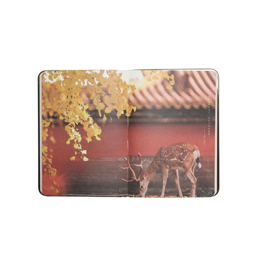 【宫里手账本】 秋日百果香氛手账本 商品图1