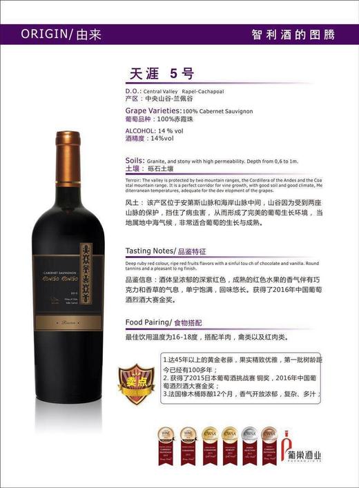 智利天涯5号葡萄酒 14度750ml*1瓶 商品图2