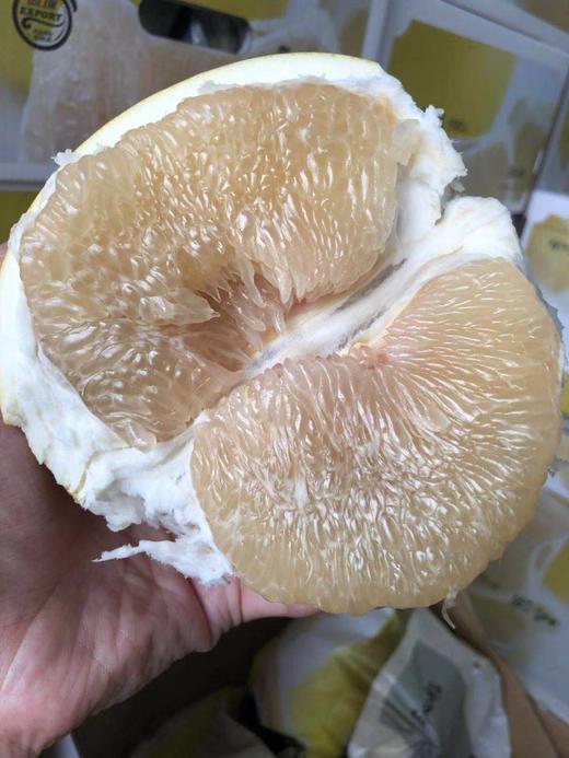 周二取货：【匠心级玉柚】一箱4个，汁水丰沛，柚香浓郁！ 商品图2