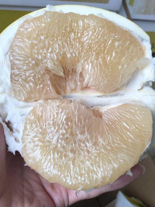 周二取货：【匠心级玉柚】一箱4个，汁水丰沛，柚香浓郁！ 商品图1