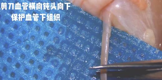 Enjoy系列显微剪刀 商品图4