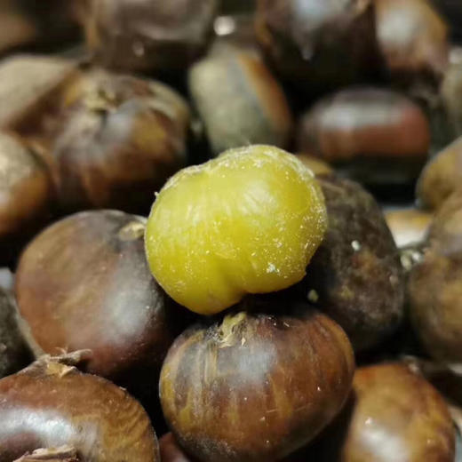 板栗🌰严选迁西出口级板栗，颗颗精选，粒粒金黄，香，甜，粉，糯！！！😋 好吃到停不下来。 商品图6