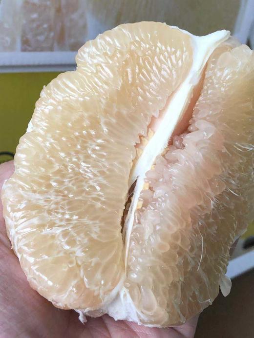 周二取货：【匠心级玉柚】一箱4个，汁水丰沛，柚香浓郁！ 商品图5