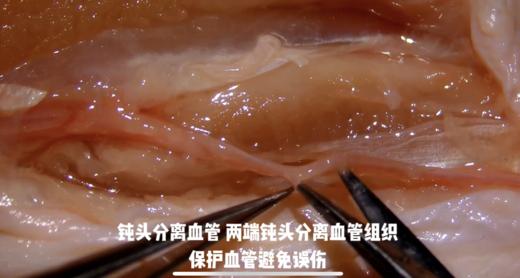 Enjoy系列显微剪刀 商品图2