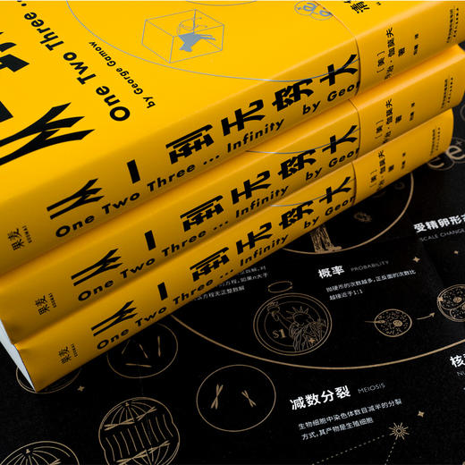 从一到无穷大 商品图3
