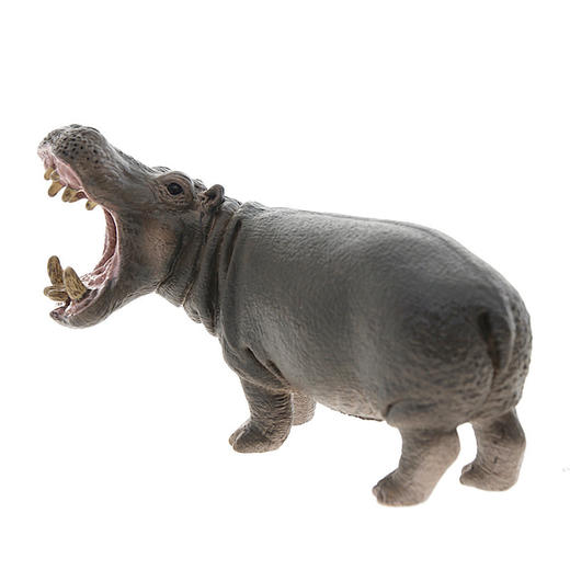 思乐河马14681 商品图3