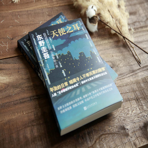 天使之耳 交通警察之夜 商品图1