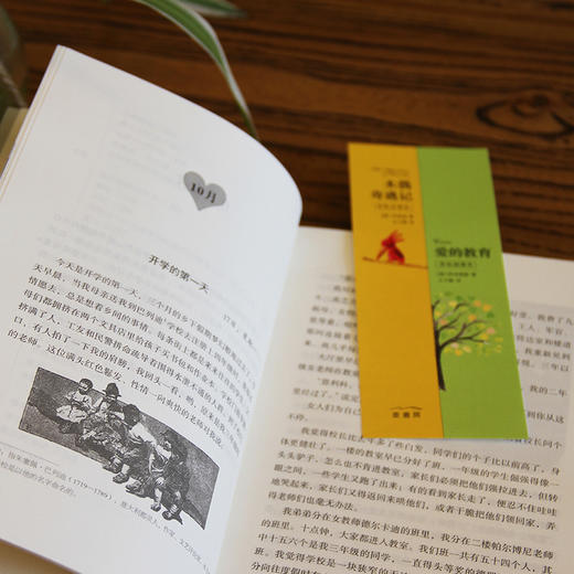 爱的教育 商品图3