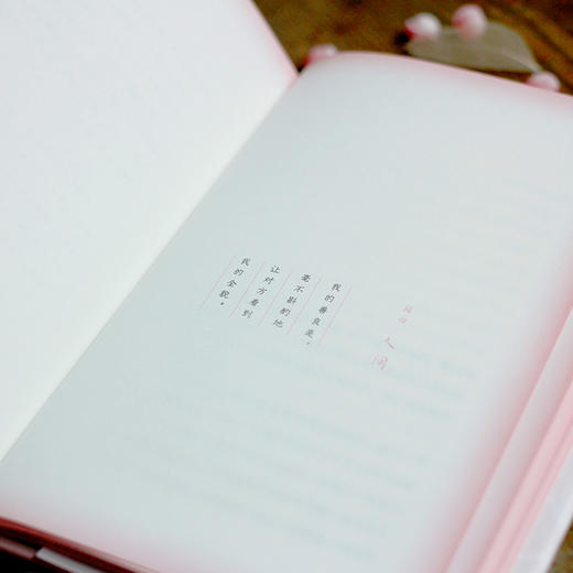 小说灯笼  精装珍藏版 《人间失格》作者太宰治幽默浪漫小说集  日本经典外国文学小说  囊括作者不为读者所知的每一面 商品图4