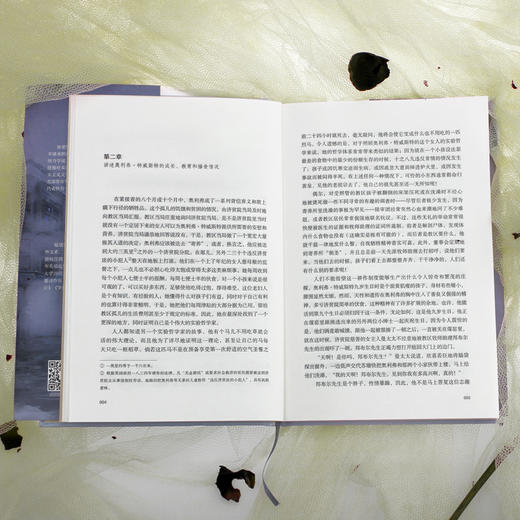 雾都孤儿 商品图4