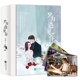 只为遇见你(2册)