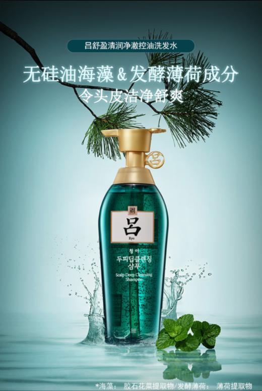 吕字洗发水（绿色）400ml/瓶   8806390531788    1*24 商品图0