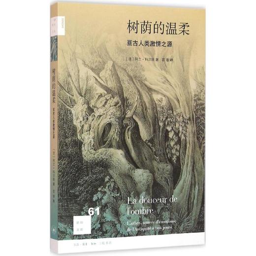 树荫的温柔 商品图0