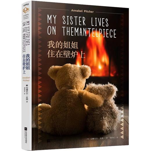 我的姐姐住在壁炉上 商品图0