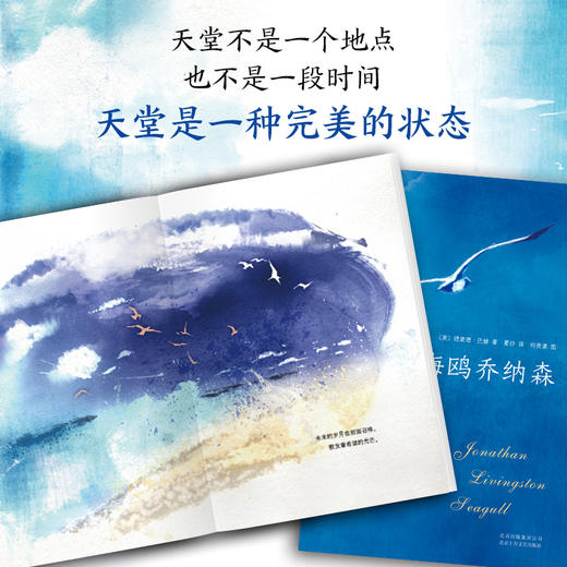 (2018版)海鸥乔纳森 商品图2