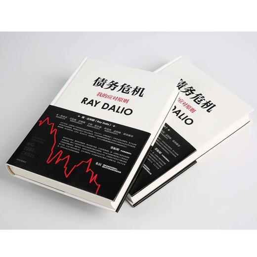 债务危机 商品图2