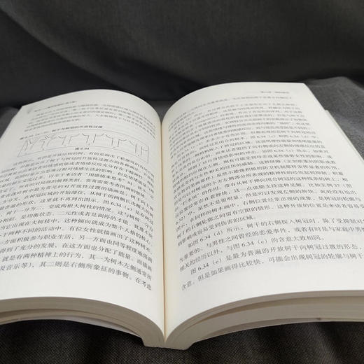 树木-人格投射测试  畅销心理咨询专著心理学书心理咨询管理学书 商品图3