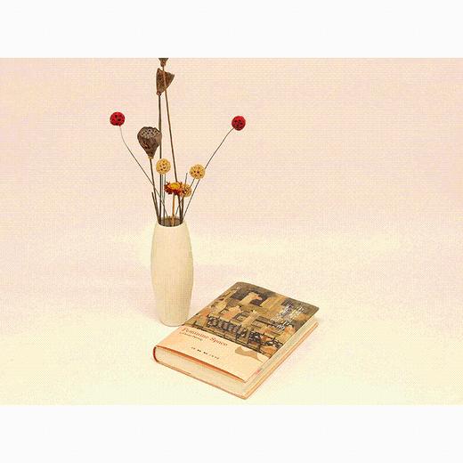 中国绘画中的"女性空间" 商品图1