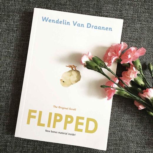 怦然心动:中英双语版 共2册 Flipped 美 文德琳·范·德拉安南著 含英文版原版 电影原著青春情感小说 外国文学书 商品图2