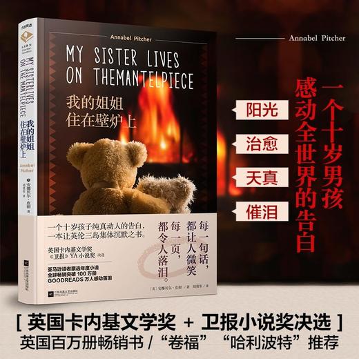 我的姐姐住在壁炉上 商品图2