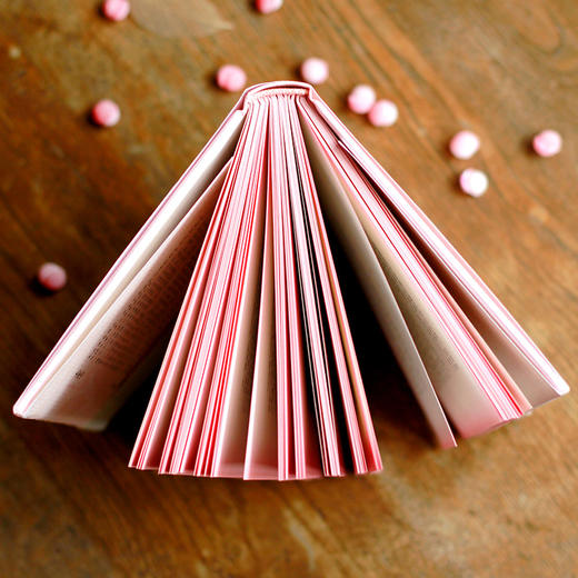 小说灯笼  精装珍藏版 《人间失格》作者太宰治幽默浪漫小说集  日本经典外国文学小说  囊括作者不为读者所知的每一面 商品图1