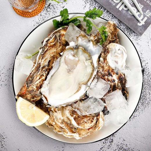 【福建东海生蚝】约5斤/箱，30-40只，大海中的牛奶，水中的黄金，高营养价值 商品图1