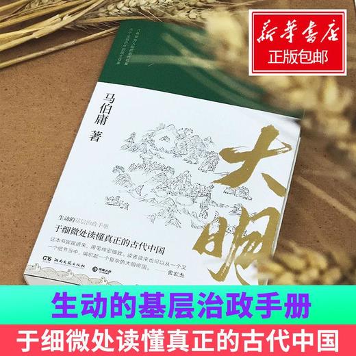 显微镜下的大明 商品图1