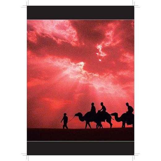 摄影美学 2 商品图1