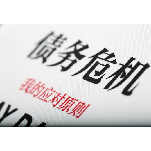 债务危机 商品图4