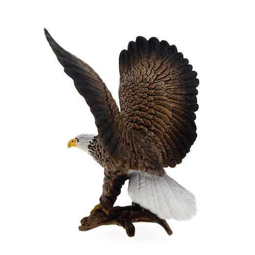 思乐白头海雕14634 商品图3