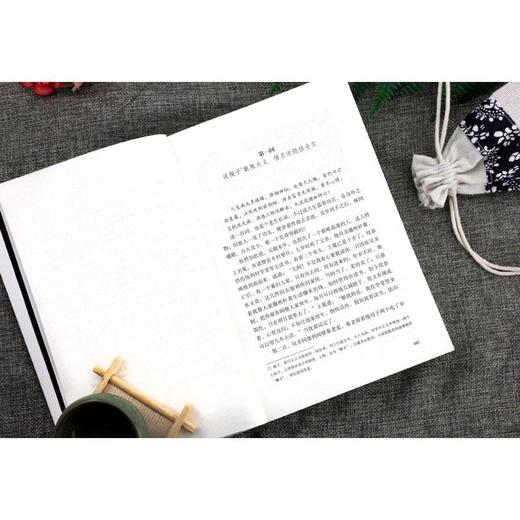 儒林外史 商品图4