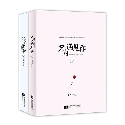 只为遇见你(2册) 商品图2